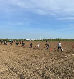 Bivanje v dijaškem domu Murska Sobota