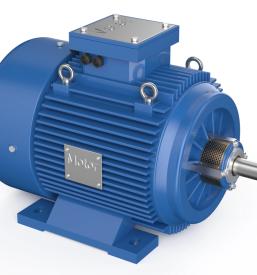 Cena servis elektromotorjev