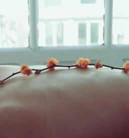 Kozmetični salon Šentjur