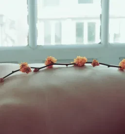 Kozmetični salon Šentjur