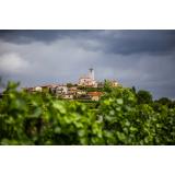 Vinogradniška zadruga Ormož z.o.o.