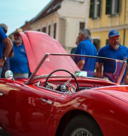 Vpis v Klub Starododobnik Slovenske gorice, Podravska