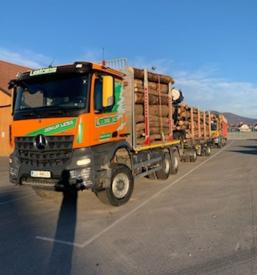 Hlodovina odkup Slovenija