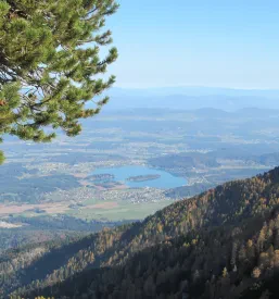 Izlet Šentrupert