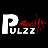 PULZZ