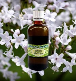 Prodaja zdravilnih zelišč Podravje