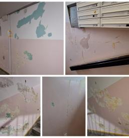 Dekorative Wandmalerei Österreich