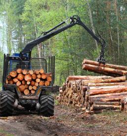 Hochwertige Forstdienstleistungen in der Steiermark