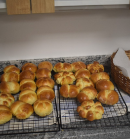 Osnovnošolska izobrazba Sevnica