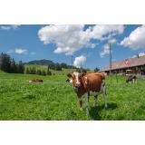 Klemen Kraševec - dopolnilna dejavnost na kmetiji