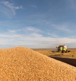 Kmetijska dejavnost Maribor