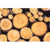 Gozdarske storitve Aleš Pregelj s.p.