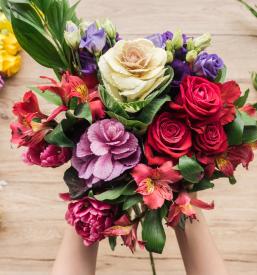 Poceni dostava šopkov Ptuj