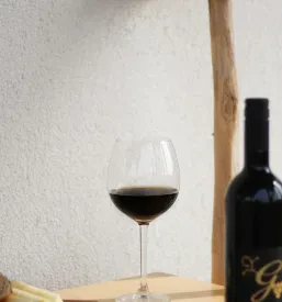 Vina Grabnar