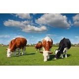 Kmetija Klaužar Vinko