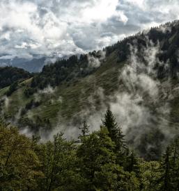 Vpis v PD Dobrna, Savinjska