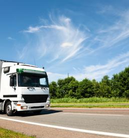 Palettentransport Europa, Schweiz