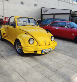 Starodobni avtomobili Škofljica