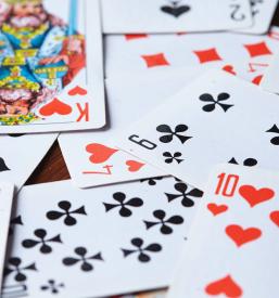 Igranje Bridga Savinjska