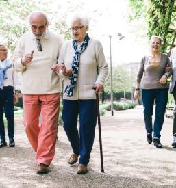 Aktivnosti in dejavnosti za upokojence Brezovica
