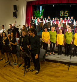 Kulturni dogodki Artiče, Brežice