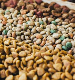 Dostava mačje hrane