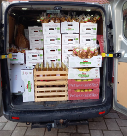 Najboljša slovenska jabolka