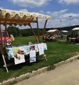 Bogat kulturni program v občini Grad