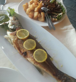 Ugodne ribje jedi Koper