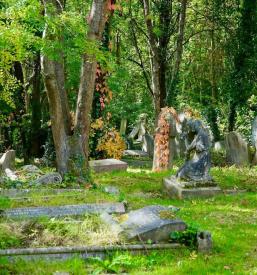 Dobra pogrebna služba Slovenske Konjice