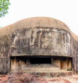 Združenje slovenskih častnikov Obala