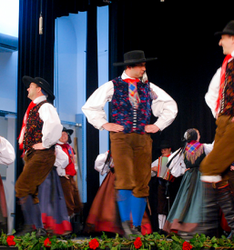 Kulturno umetniški dogodki in prireditve Brežice