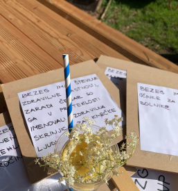 Poletno varstvo za otroke Radomlje