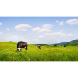 Agrarna skupnost Grad - Bled