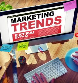 Vodenje spletne strani