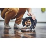 Spletna trgovina Purepaw