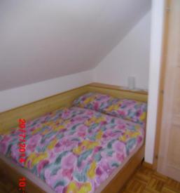 apartma Bohinjsko jezero