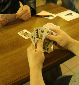 Turnir igranja šnopsa