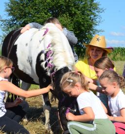 Jahanje konj za otroke