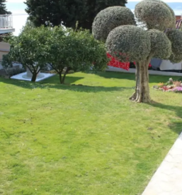 Luksuzen apartma Portorož cena