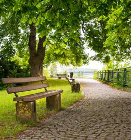 Načrtovanje javnih površin