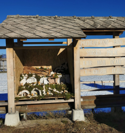 Delavnice v Medvodah