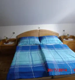 Družinski apartma Bohinjsko jezero