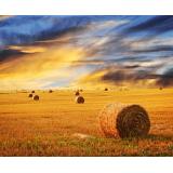 SMART FARMING, Špela Potrpin s.p.