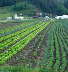 Ohranjanje dediščine kraja