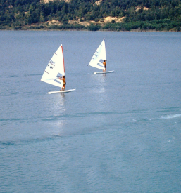 Jadralska regata