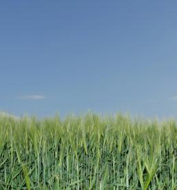 Prodaja zanesljivih agrometeoroloških postaj Slovenija