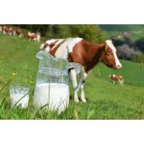 Štefan Tancar - nosilec dopolnilne dejavnosti na kmetiji