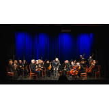 Glasbeno društvo - Associazione musicale Obalni Komorni Orkester