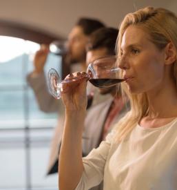 Vinska klet in degustacije vin Bohinj